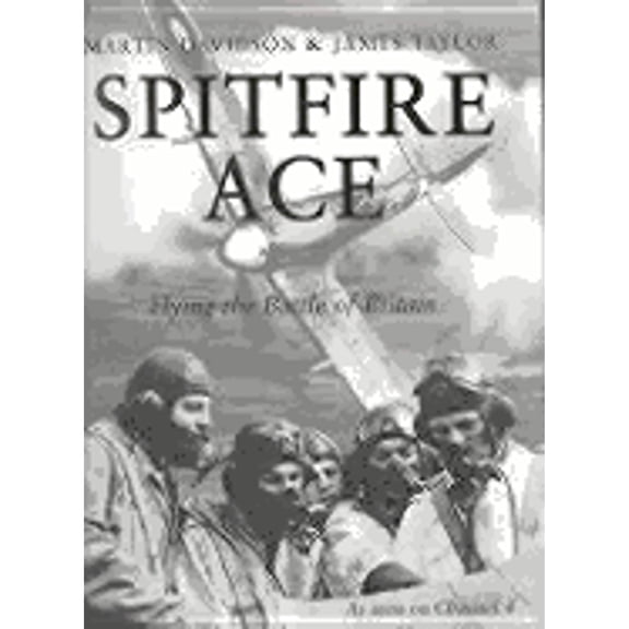 Pre-Owned Spitfire Pilot (Hardcover) by Martin Davidson, Boxtree Ltd (Creator)