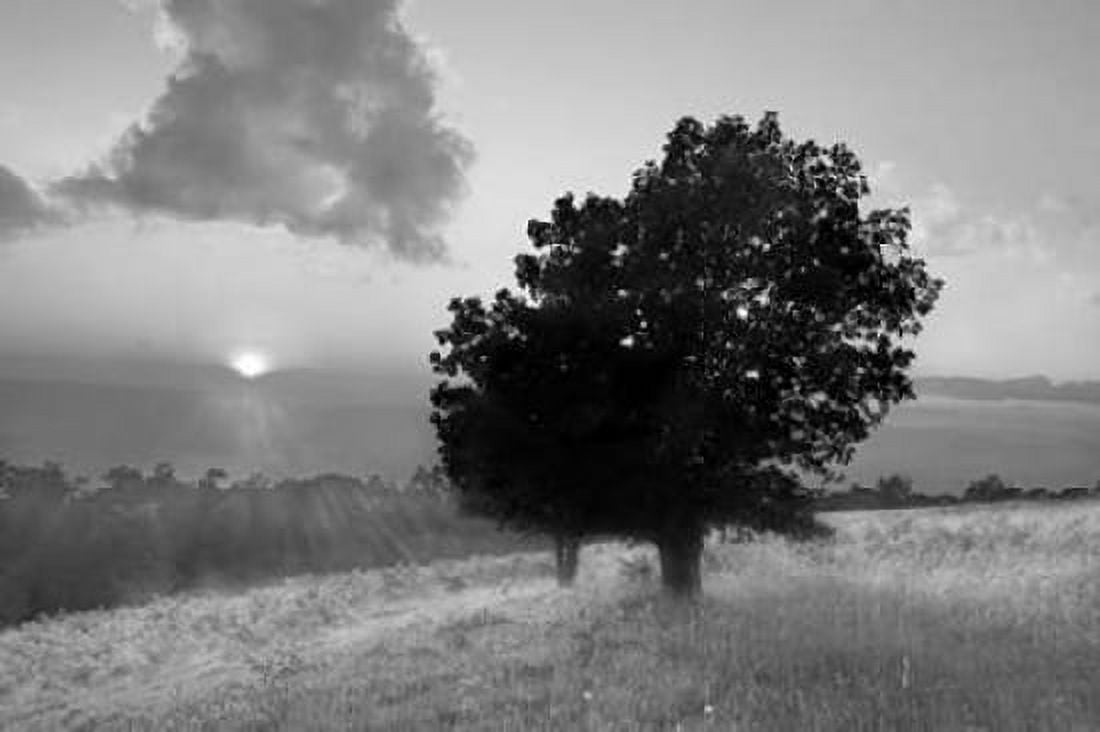 Spitler Knoll Overlook Canvas Art - Winthrope Hiers (24 x 36)