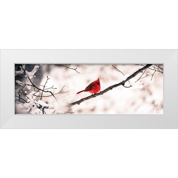 Spivey, Justin 14x7 White Modern Wood Framed Museum Art Print Titled - Cardinal III