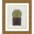 thumbnail image 1 of Spivey, Linda 15x18 Gold Ornate Wood Framed with Double Matting Museum Art Print Titled - Potted Cactus, 1 of 4