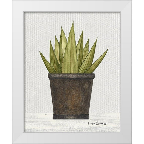 Spivey, Linda 20x24 White Modern Wood Framed Museum Art Print Titled - Potted Aloe Vera