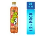 thumbnail image 1 of Splash Fizz, Blood Orange Flavor Sparkling Water Beverage, 20 Fl Oz Plastic Bottles (12 Count), 1 of 16