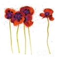 thumbnail image 1 of Splash Garden II on White Poster Print by Shirley Novak, 1 of 2