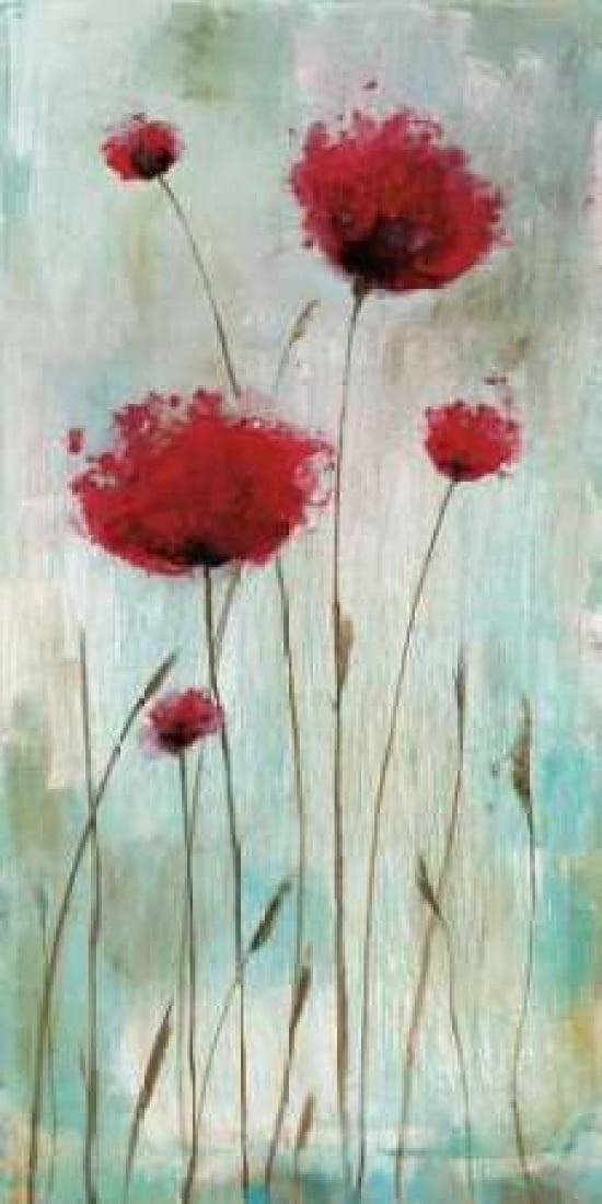 Splash Poppies I Canvas Art - Catherine Brink (24 x 48)