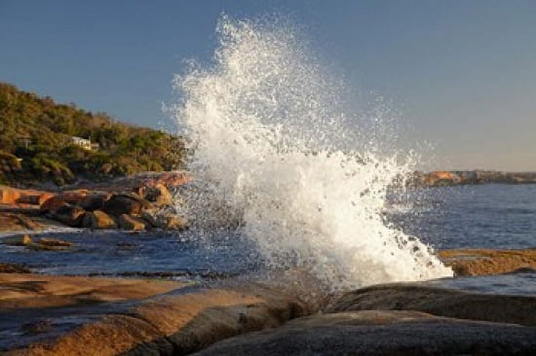 Splash from Blowhole Bicheno Tasmania Australia Canvas Art - David Wall DanitaDelimont (29 x 19)
