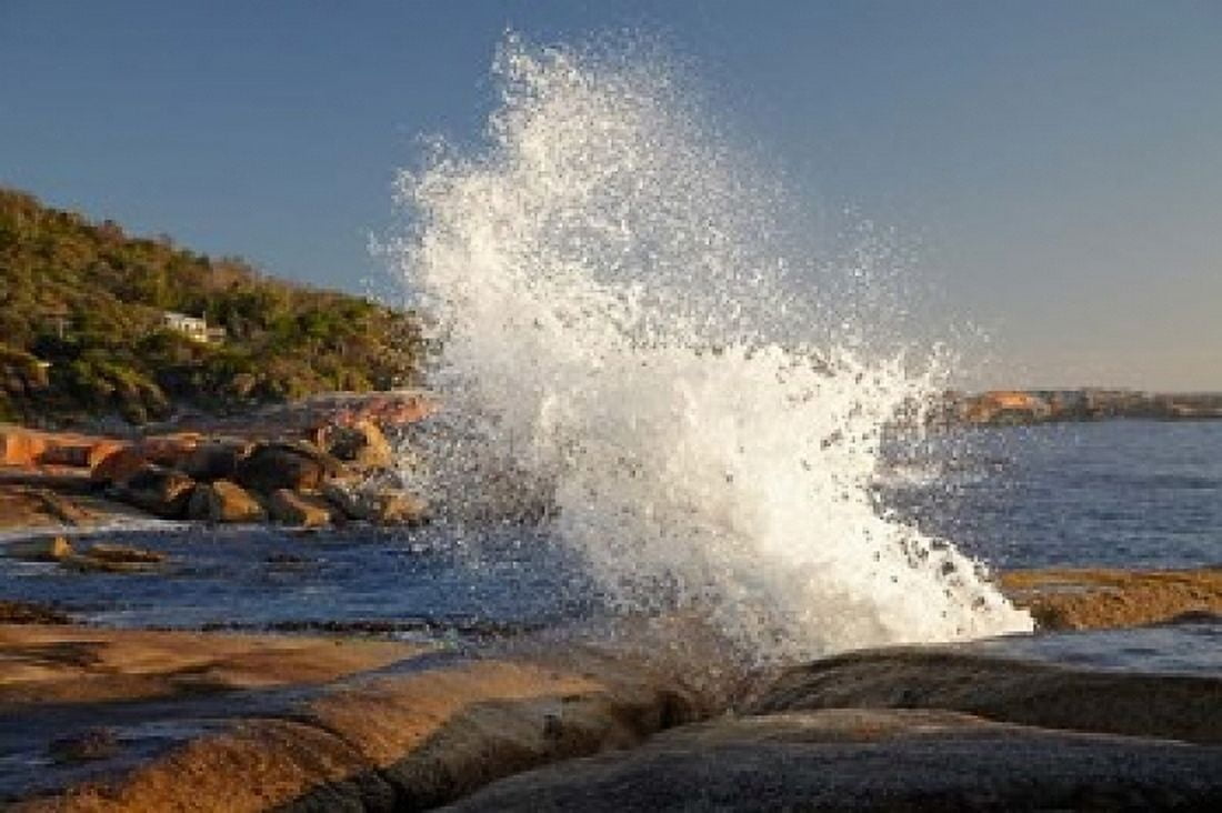 Splash from Blowhole Bicheno Tasmania Australia Canvas Art - David Wall DanitaDelimont (36 x 24)