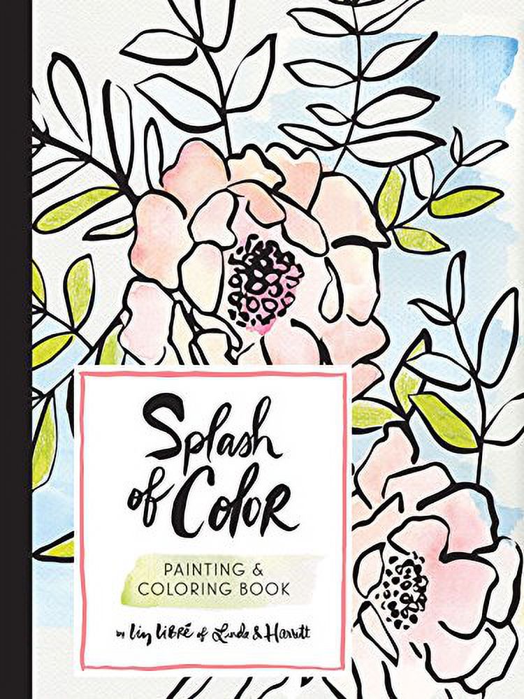 Splash of Color Painting & Coloring Book (Paperback, Used
