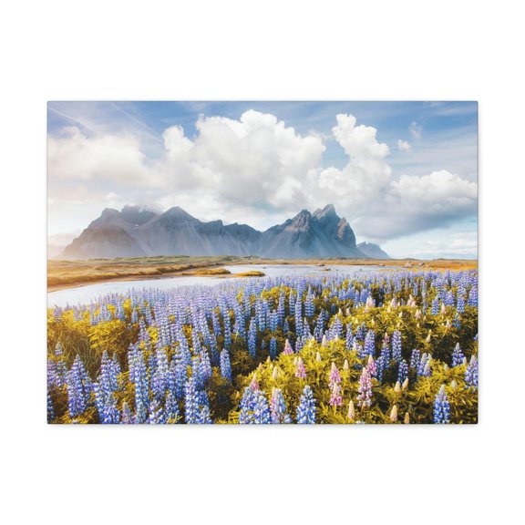 Splendid Lupine Flower on Sunny Day Scene Beautiful Surprising and Shocking Beauty Nature Scene View of Mountain in Flower Garden Wall Art Ready to Hang Unframed