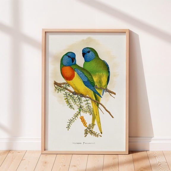 Splendid Parakeet Vintage , Bird , Antique Animal, Vintage Wall Art Decor, Bird Illustration Unframed Paper Print