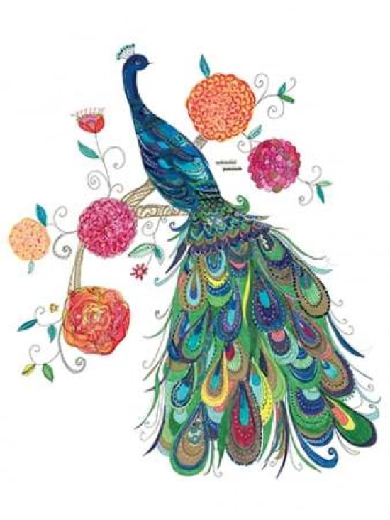 Splendid Peacock Canvas Art - Kim Anderson (18 x 24)