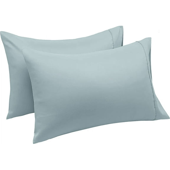 Splendid Udyog Queen Size Pillow Cases Set of 2 - Solid Light Blue Queen Pillowcase 2 Pack with Envelope Closure, Soft Brushed Microfiber Bed Pillow Case Cover, 20x30 inches