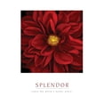 thumbnail image 1 of Splendor - Red Pool Poster Print by Unknown Unknown, 1 of 1