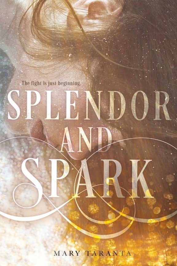 Splendor and Spark (Paperback)