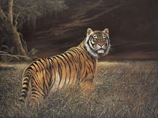 Splendor in the Grass Canvas Art - Ruane Manning (22 x 28)