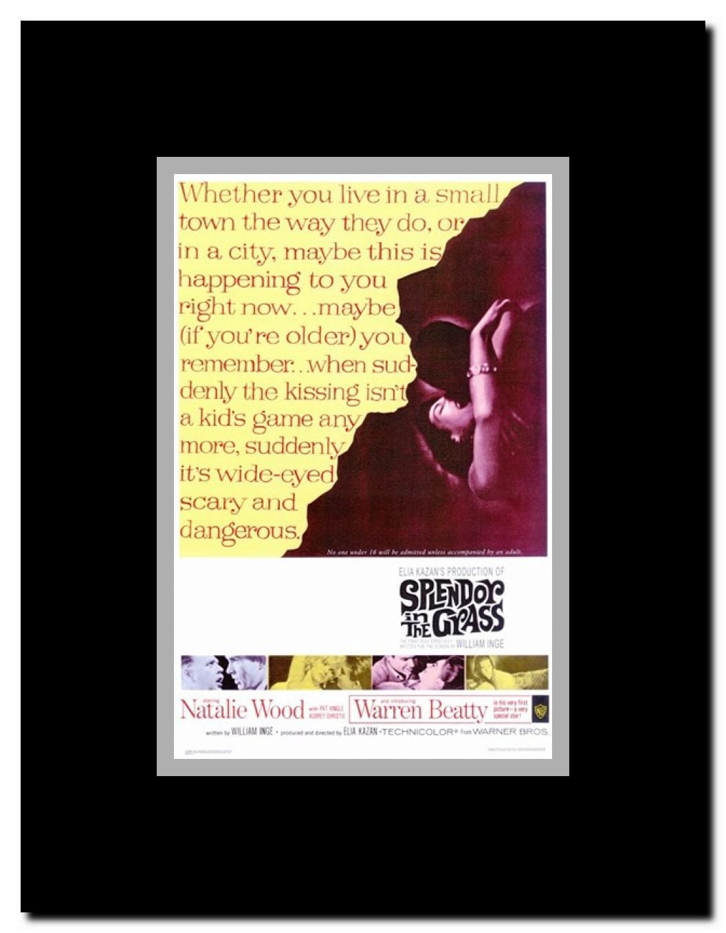 Splendor in the Grass Framed Movie Poster