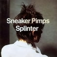 thumbnail image 1 of Splinter, 1 of 1