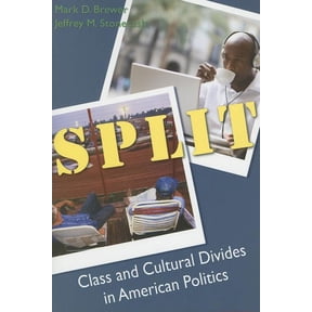 Split: Class and Cultural Divides in American Politics, (Paperback)
