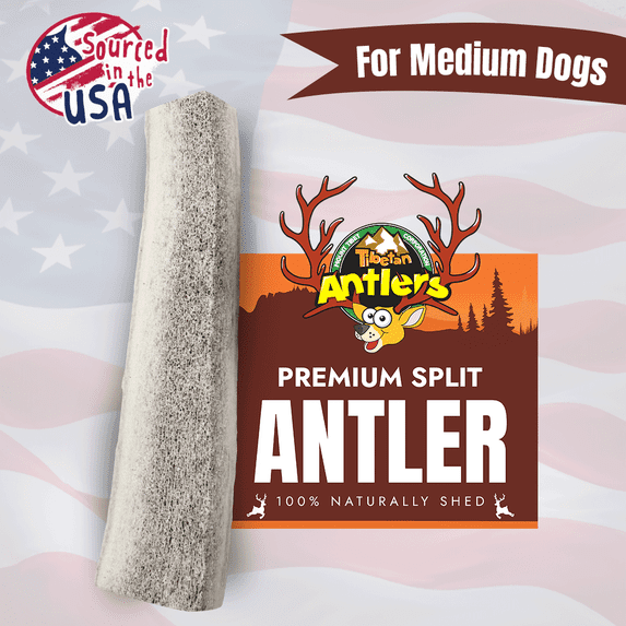 Tibetan Dog Chew Natural Elk Antler Dental Treats for Dogs, Medium Bag