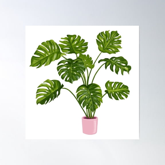 Split Leaf Philodendron Poster Wall Art, Modern Wall Decor For Living Room Bedroom, 16x16 UNFRAMED