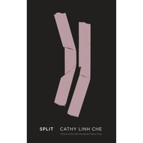 Pre-Owned Split (Paperback) 1938584058 9781938584053
