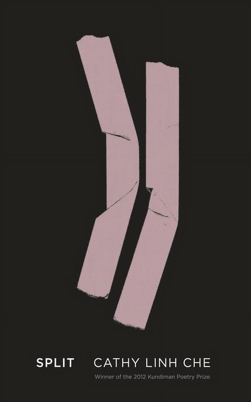 Split (Paperback)