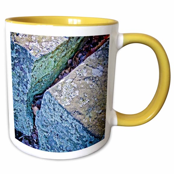 3drose, Split Rock, 11oz Two-tone Yellow Mug