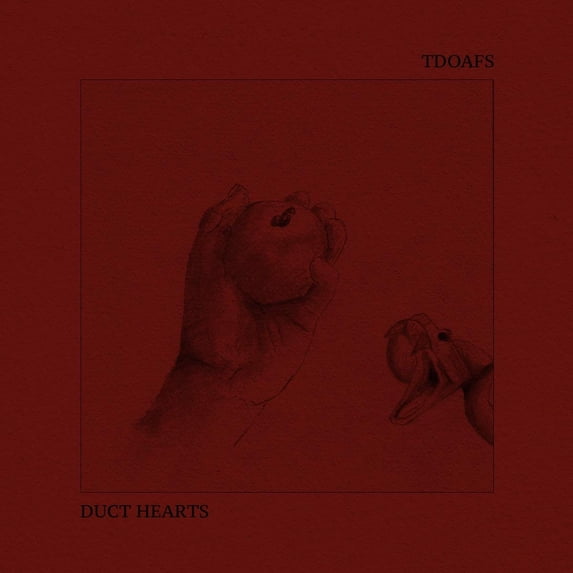 Duct Hearts/Tdoafs Split (Vinyl Record)