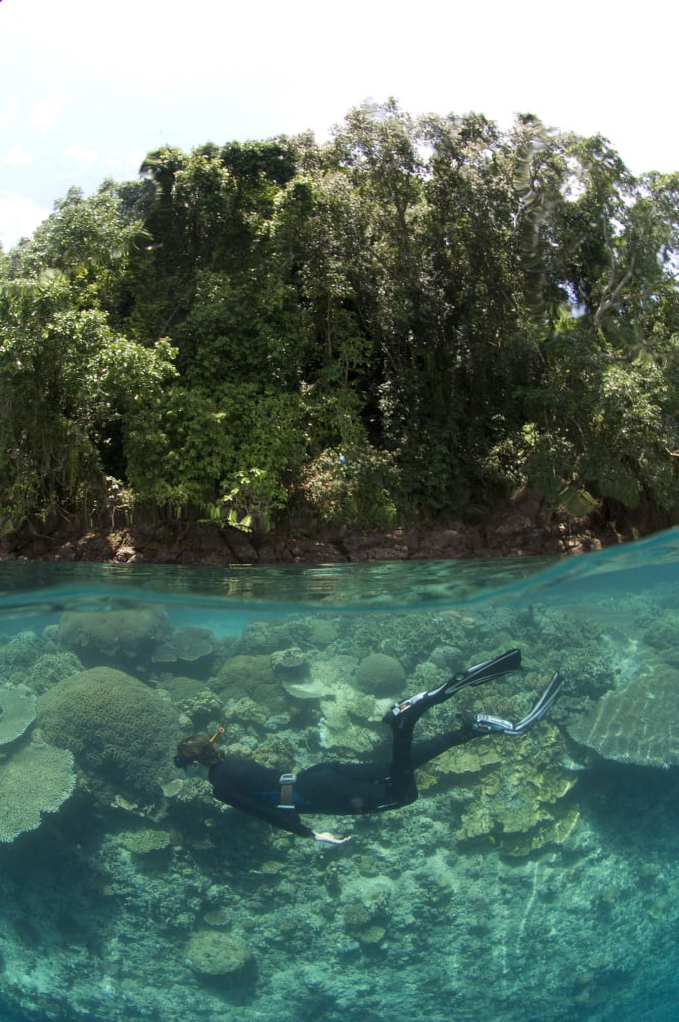 Split level view of snorkeller at Restorf Island Papua New Guinea Canvas Art - Steve JonesStocktrek Images (12 x 18)
