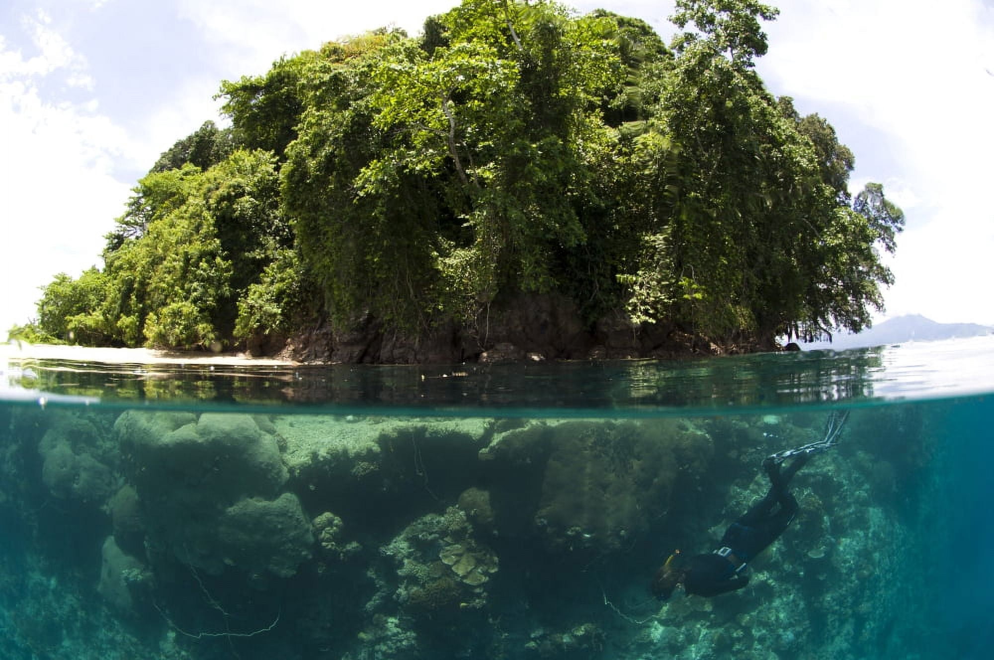 Split level view of snorkeller at Restorf Island Papua New Guinea Canvas Art - Steve JonesStocktrek Images (35 x 23)