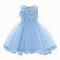 thumbnail image 1 of Splozh First Birthday Dress Baby Girl Lace Flower Girl Dress Floral Sleeveless Tulle Princess Wedding Pageant Party Dresses,Sky Blue,3-6 Months, 1 of 7