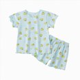 thumbnail image 1 of Splozh Toddler Boys Pajama Set 2 Piece Cute Summer Dinosaur Pajamas Short Sleeve Top Shorts Toddler Boys Sleepwear Boys Spring Pajamas,Mint Green,6-12 Months, 1 of 4
