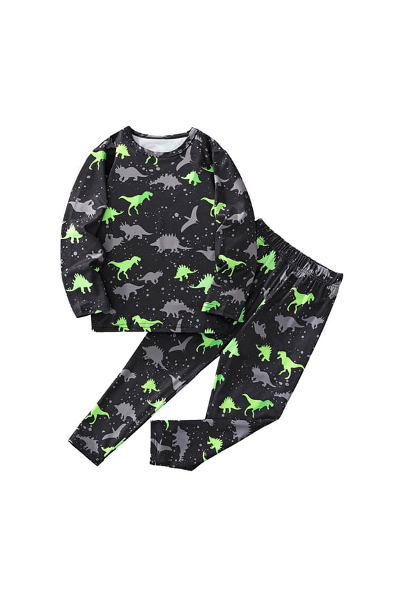 Toddler Boys Winter Clothes Set Kids Cartoon Dinosaur Print Casual Long Sleeve Top and Pants Homewear Set Green,2-3 Years