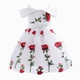 thumbnail image 1 of Splozh Toddler Prom Dress 12 18 24 Months 2T3T4T5T6T Girls Skirt Fashion Flower Dress Off Shoulder Princess Skirt Children Rose Embroidery Mesh Skirt,White,5-6 Years, 1 of 7