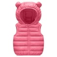 thumbnail image 1 of Splozh Toddler Vest Fall Toddler Boys Girls Hooded Puffer Vest Padded Warm Winter Jacket Sleeveless Coat Hot Pink,6-12 Months, 1 of 4