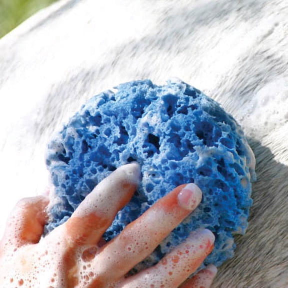 Sponge on a Rope by Tail Tamer Products