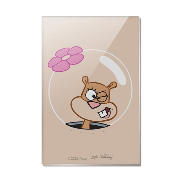 SpongeBob Sandy Wink Face Rectangle Acrylic Fridge Refrigerator Magnet