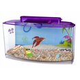 thumbnail image 1 of SpongeBobs Large Betta Tank, 1 of 1
