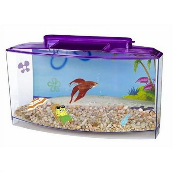 SpongeBobs Large Betta Tank