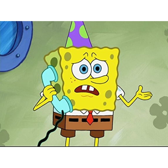 Pre-Owned Spongebob the Pet Show, 9781621916505, 1621916502, Hardcover,