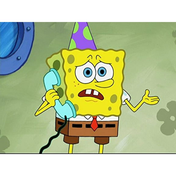 Pre-Owned Spongebob the Pet Show, 9781621916505, 1621916502, Hardcover,