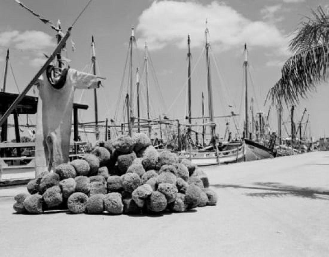 Sponges piled on pier with part of sponge fleet in background Canvas Art - (18 x 24)
