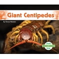 thumbnail image 1 of Spooky Animals Giant Centipedes, (Hardcover), 1 of 1