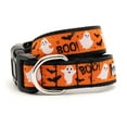thumbnail image 1 of Spooky Collar, 1 of 3