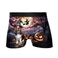 thumbnail image 1 of Spooky Halloween Night Witch Basset Hound Glowing Pumpkins All Over Print Boxer Briefs Underwear for Men Dad Bassets Dog Breed Lovers Gifts Idea - 12015, 1 of 6