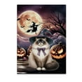 thumbnail image 1 of Spooky Halloween Night Witch Ragdoll Glowing Pumpkins Vertical Matte Canvas Poster Cat Lover Kitten Owner Gifts Idea Wall Art Home Decor - 12015, 1 of 5