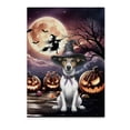 thumbnail image 1 of Spooky Halloween Night Witch Rat Terrier Glowing Pumpkins Vertical Matte Canvas Poster Ratty Dog Lover Wall Art Home Decor - 12015, 1 of 5