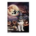 thumbnail image 1 of Spooky Halloween Night Witch Saint Bernard Glowing Pumpkins Vertical Matte Canvas Poster St Dog Lover Wall Art Home Decor - 12015, 1 of 5