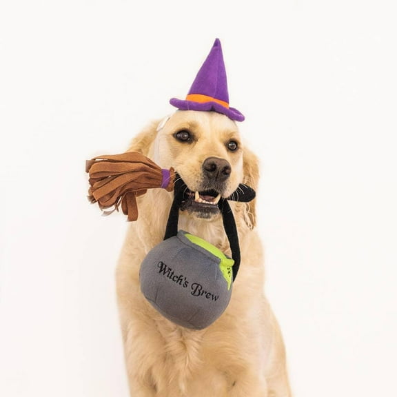 Spooky Witch Halloween Pet Costume Kit