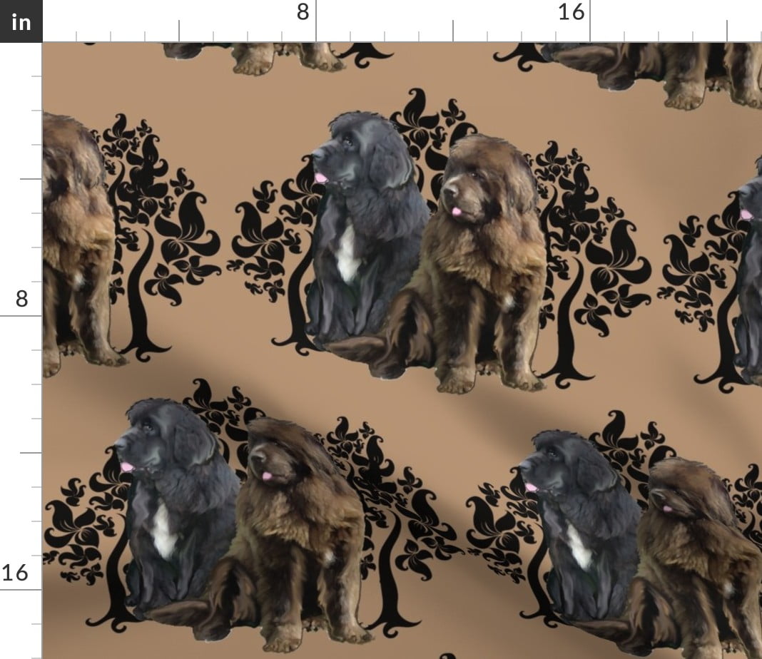 Newfoundland dog apparel sale