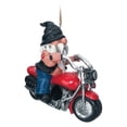 thumbnail image 1 of Spoontiques 10127 Gnome on Motorcycle Birdhouse, Multicolor, 1 of 1